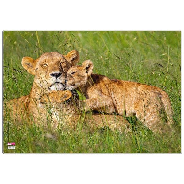 Veloflex Schreibtischunterlage »Löwen«, 50x35 cm Image