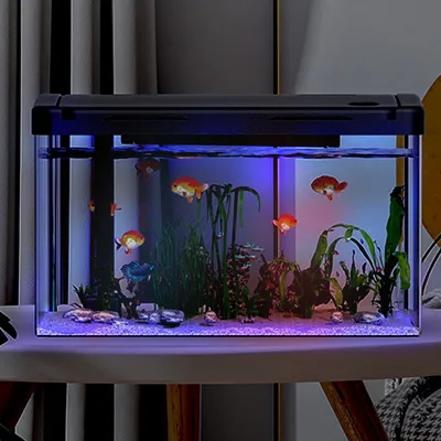 Aquarium Complete Set, Fish Tank with LED Lighting, Pump and Filter, Micro Landscape Desk, Aquarium Complete Set