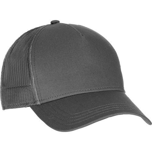 Casquette à filet gris TU