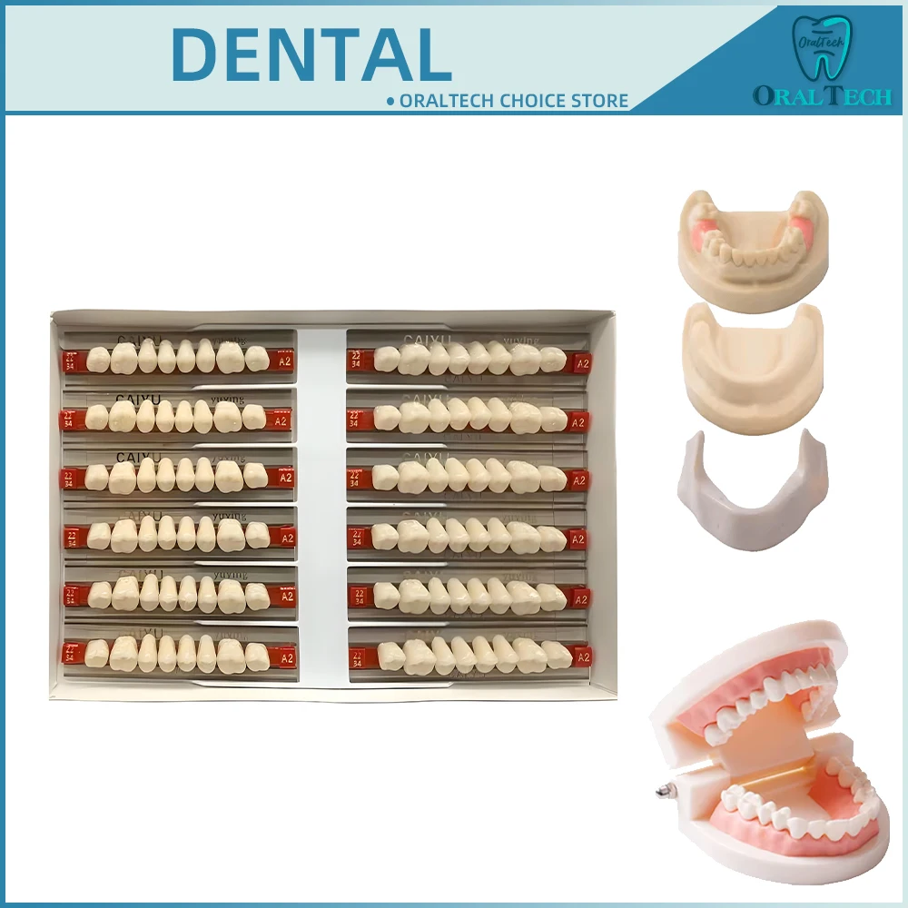 Dental Harz Prothese Zähne Lehrmodelle Reparierbare Synthetische Anterior Posterior Polymer A1/2/3 Acryl Temporäre Falsche Zahn Image