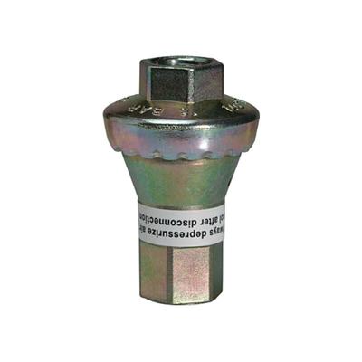 Riegler - Inline-Druckregler, 2 x ig, ohne Sekundärentlüftung, g 1/4, 2 bar Image