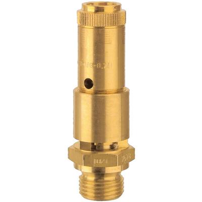 Riegler - Sicherheitsventil dn 10, Messing, g 1/2, Ansprechdruck 0,9 bar Image