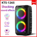 Altoparlante wireless portatile Subwoofer Microfono cablato Doppia luci da festa RGB da 10 W Supporto U Disco AUX Scheda TF Microfono USB Display musicale