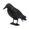 Simulation Schwarz Rabe Vogel Krähe Natürliche Prop Scary Schädlingsbekämpfung Kontrolle Taube Repellent Rabe Dekoration Party Supplies