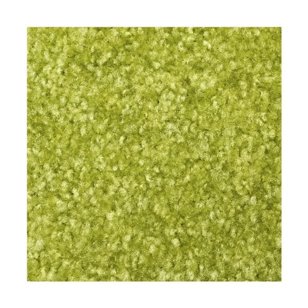 MercuryFlooring Fußmatte »Rainbow« 120x180,0 cm Grün, 120 cm Image