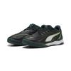 Fußballschuh PUMA "IBERO Futsalschuhe Erwachsene", Gr. 44, schwarz grün terrain fizzy light gelb, Obermaterial: Synthetik, Textil; Futter: Textil; Innensohle: Textil; Laufsohle: Gummi, Schuhe