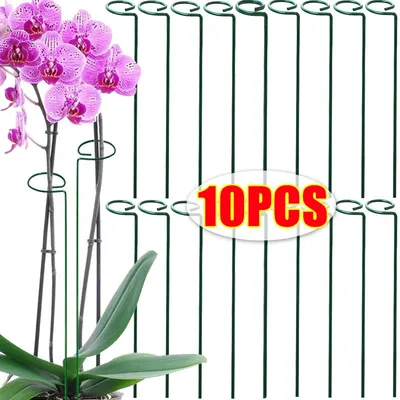 1/10PCS Plant Support Stakes Reusable Tree Branch Plant Stakes Vine Stem Climbing Bracket for Potted Plants Home Garden Tools