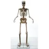 2023 Holiday Giant Halloween-Requisiten, Outdoor-Dekoration, riesige Größe, 2,5 m, 8 Fuß, realistisches gruseliges Skelett mit animierten Augen