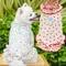 New In-Stock Summer Cat And Dog Clothes Cute Fashion Floral Skirt Pet Dog Thin Breathable Princess Skirt Pet Supplies.
