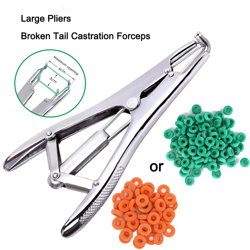Schaf gebrochener Schwanz Kastrationszange Expansionsklemme Elastizität Gummi Kastrationsringe Nutztier blutlose gebrochene Schwanzzange Image