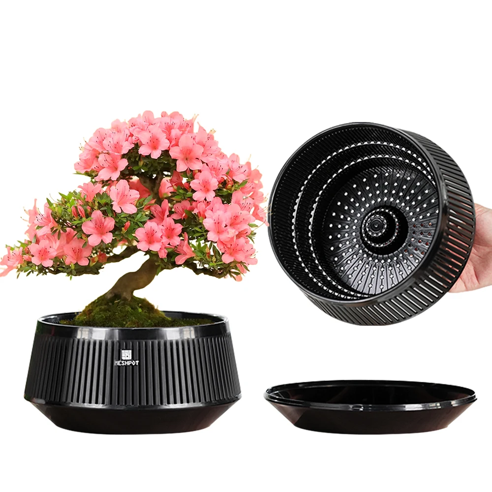 Meshpot Bonsai-Töpfe mit Drainagebehälter und ausgezeichnetem Luftstrom, Kunststoff-Bonsai-Baumentopf mit Luftbeschneidung, großer Bonsai, großer Bonsai Image