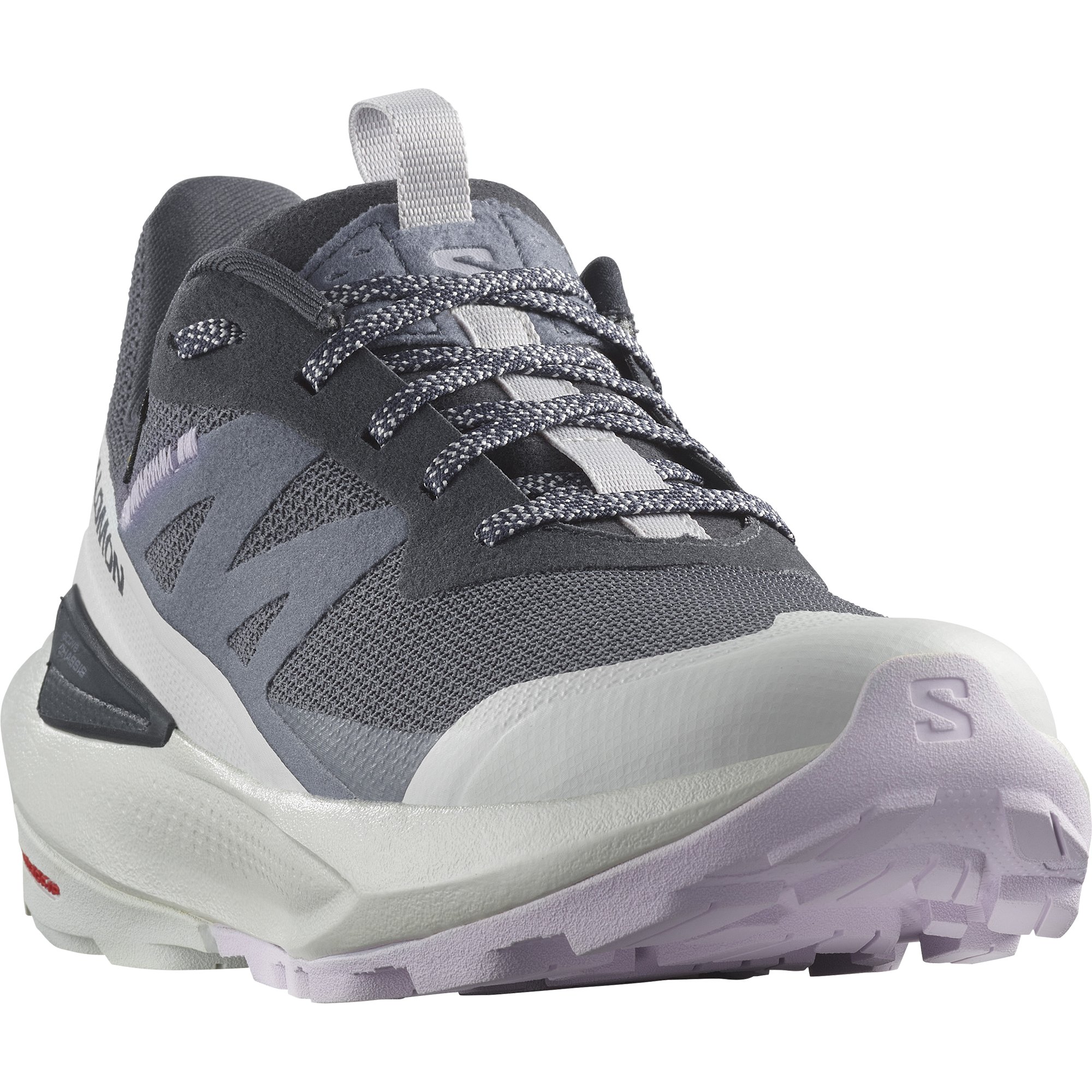 Outdoorschuh SALOMON "ELIXIR ACTIV GORE-TEX W", Damen, Gr. 39, grau (india ink, glacier gray, orchid petal), Synthetik, Textil, Schuhe Outdoorschuh, wasserdicht