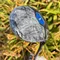 Golf Fairway Woods AI-SMOKE Fairway Woods With Graphite Shaft S/SR/R Flex With Head Cover
