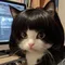 Pet Wig Dog Wig Pet Supplies Halloween Pet Accessories Curly Hair Straight Hair Cat Wig It can be DIY trimmed