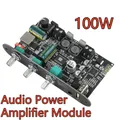 100W Bluetooth 5.3 TPA3116D2 Modulo amplificatore di potenza audio mono Bt DC9-24V Modulo amplificatore audio Supporto modulo TWS wireless