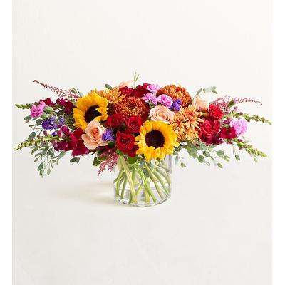 1-800-Flowers Flower Delivery Harvest Melody Bouquet Xl