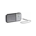 Technisat - Techniradio rdr - Radio Dab+ portatile (Dab+, fm aux, usb, Torcia), Argento