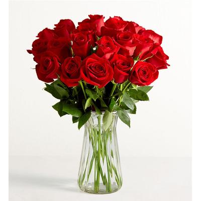 1-800-Flowers Flower Delivery Red Roses 24 Stems W/ Clear Vase