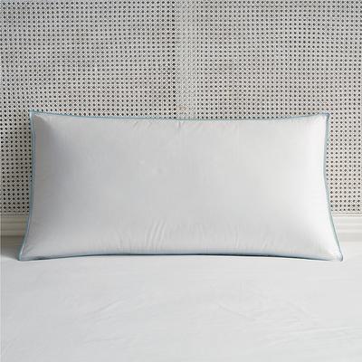 Set of 2 Down Alternative Side Sleeper Pillow - King - Frontgate Resort Collection™