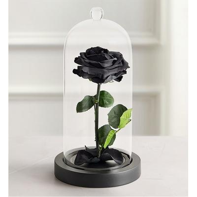 1-800-Flowers Flower Delivery Enchanted Beauty By Magnificent Roses Black Exclusive Preserved Black Stems
