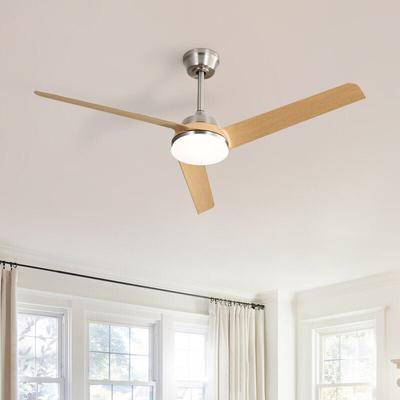 Ventilateur de Plafond Nickel avec Lumière led 22W - 132cm - Sofucor Image