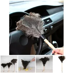 Brosse à main en plumes d'autruche pour le nettoyage des meubles en bois, plumeau de dépoussiérage, brosse à fourrure, nettoyeur domestique, outil de livres