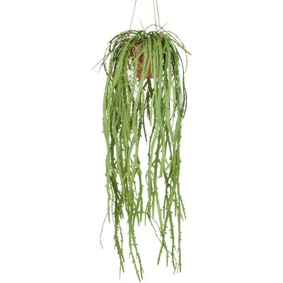 Kunstpflanze CREATIV GREEN "Hängende Rhipsalis crispata", grün, H:80cm, Kunststoff, Kunstpflanzen, mit zahlreichen Ranken Image