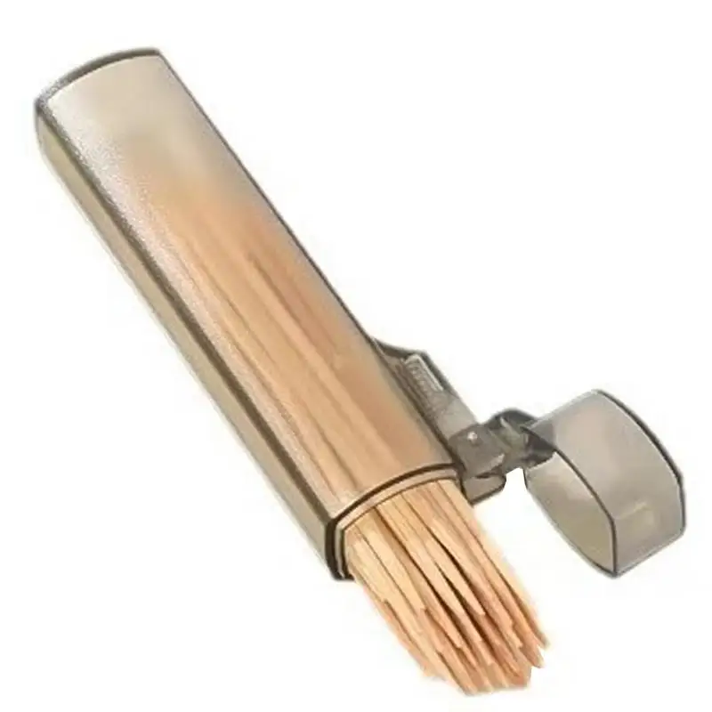 Zahnstocherhalter Tasche Tragbarer Zahnstocher Reiseetui Transparenter kompakter Zahnstocherbehälter mit Deckel für Outdoor-Camping Image