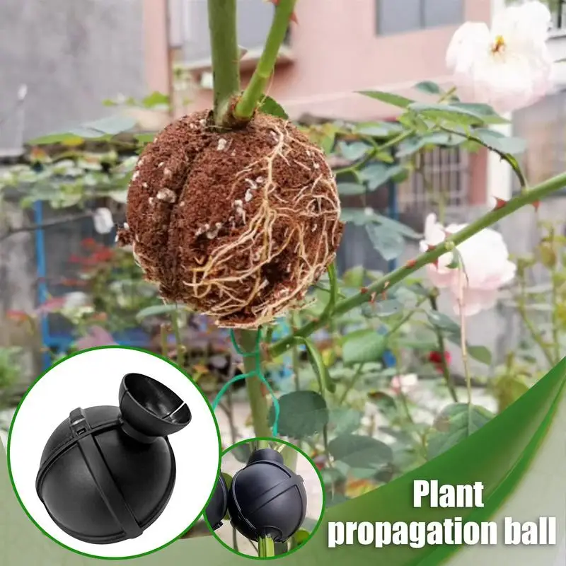 Pflanze Wurzel Wachsende Box Verwurzelung Bälle Für Bäume Pfropfen Fall Für Obst Baum Topf Substrat Pflege Indoor Gartenarbeit Aquaponics Image