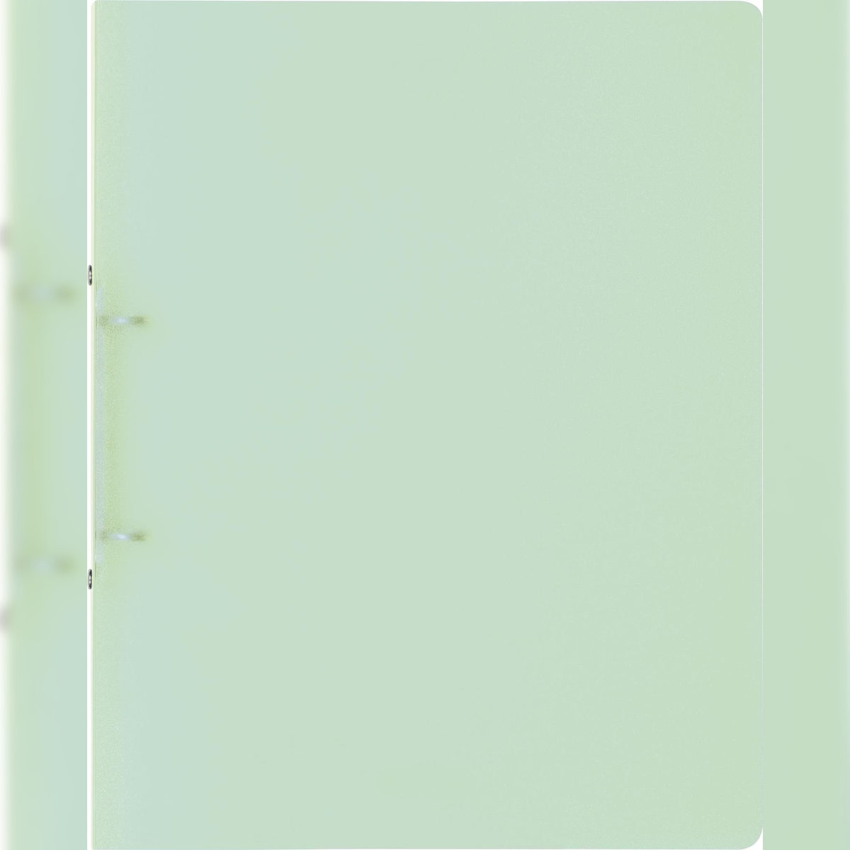 BRUNNEN Ringbuch A4 FACT! 16mm 2-Ringe grün Image