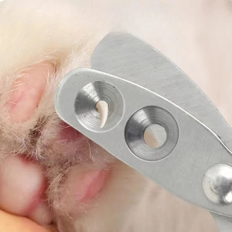 Haustier-Nagelpflegeknipser, professioneller Katzen-Nagelknipser für kleine Katzen, Hunde, Edelstahl, Welpenkrallenschneider Image