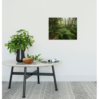 Leinwandbild KOMAR "Mystic Birch Grove - Größe 40 x 30 cm", bunt (farbe bild(er): bunt), B:40cm H:30cm T:2cm, Papier, Holz, Bilder, Keilrahmenbild mi Echtholzrahmen Image