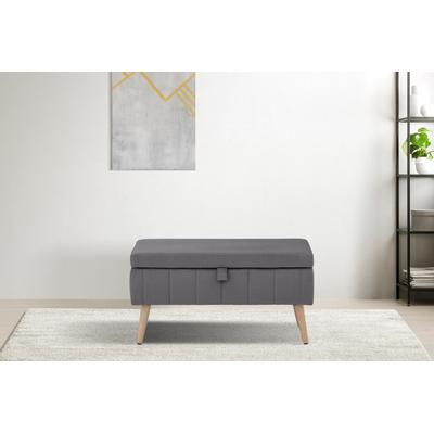 Truhenbank INOSIGN "AMIRA Sitzbank mit Stauraum, Maße B/T/H: 81/36/43 cm", grau (mittelgrau), B:81cm H:43cm T:36cm, Struktur fein (100% Polyester), Samtvelours (100% Polyester), Luxus-Microfaser weich (100% Polyester), Sitzbänke, mit Staufach, in 3... Image