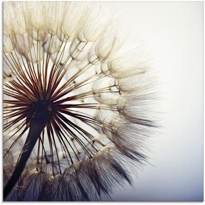 Glasbild ARTLAND "Große Pusteblume", blau (farbe bild(er): blau), B:20cm H:20cm, Bilder, in verschiedenen Größen Image