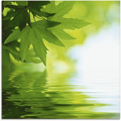 Glasbild ARTLAND "Grüne Blätter reflektieren im Wasser", grün (farbe bild(er): grün), B:30cm H:30cm, Bilder, in verschiedenen Größen Image