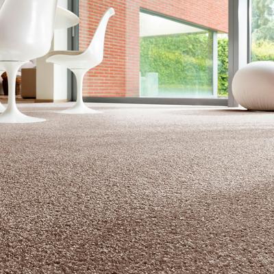 Teppichboden ANDIAMO "Rubinoy, Schlinge, Made in Belgium", braun, B:400cm H:8,5mm L:300cm, Kunstfaser, Teppiche, Breite 400 cm oder 500 cm, Wohnzimmer, strapazierfähig & robust Image