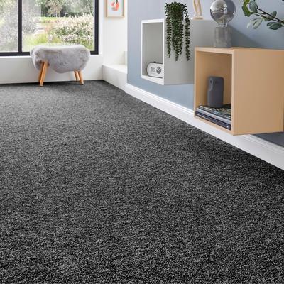 Teppichboden ANDIAMO "Matz, Schlinge, Made in Belgium", schwarz, B:500cm H:6mm L:350cm, Kunstfaser, Teppiche, meliert, Breite 400 cm oder 500 cm, strapazierfähig & pflegeleicht Image