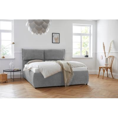 Polsterbett ANDAS "Jenson", grau, B:188cm L:225cm, Struktur weich (85% Polyester/15% Nylon), Betten, als Bettgestell oder mit 3 Matratzenarten und Härtegraden Image