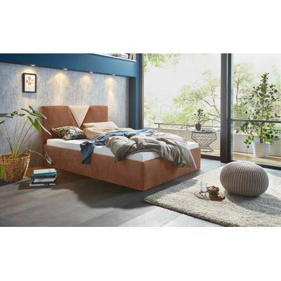 Polsterbett "Malibu", braun (braun, beige), B:172cm L:212cm, Bezug Bett: Microfaser (100% Polyester), Bonnell-Federkernmatratze: 51% Polypropylen, 39% Polyester und 10% Baumwolle, Kaltschaummatratze: 100% Polyester, Bezug abnehm- und waschbar bis... Image