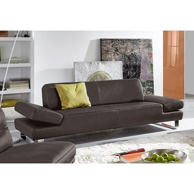 2-Sitzer W.SCHILLIG "taboo", braun (braun z59), B:202cm H:76cm T:101cm, Flachgewebe S22 (100% Polyester), Stoff S37 (100% Polyester): Luxus-Microfaser in Lederoptik, Longlife Xtra-Leder Z59: Glattleder mit modischer Prägung. Hautstärke 0, 9 - 1, 1... Image