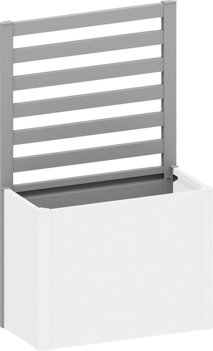 Rankgitter BIOHORT, silber (silberfarben, metallic), B:102cm H:91cm, Stahlblech, Rankhilfen, für biohort Hochbeet DaVinci 100 Image