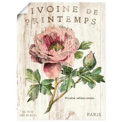 Wandbild ARTLAND "Pfingstrose", pink (farbe bild(er): pink), B:45cm H:60cm, Papier, Bilder, als Leinwandbild, Poster, Wandaufkleber in verschied. Größen Image
