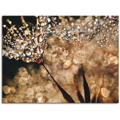 Wandbild ARTLAND "Pusteblume Goldschimmer", gold (farbe bild(er): goldfarben), B:120cm H:90cm, Bilder, als Alubild, Outdoorbild, Leinwandbild, Poster, Wandaufkleber Image