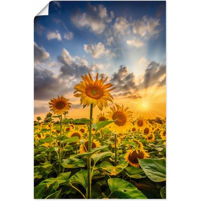Wandbild ARTLAND "Sonnenblumen im Sonnenuntergang", bunt (farbe bild(er): bunt), B:40cm H:60cm T:0,1cm, Papier, Bilder, als Leinwandbild, Poster in verschied. Größen Image