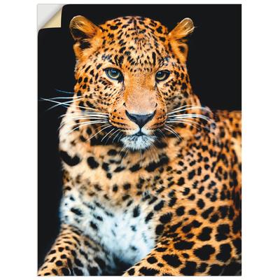 Wandbild ARTLAND "Wütender wilder Leopard", schwarz (farbe bild(er): schwarz), B:30cm H:40cm, Bilder, als Alubild, Outdoorbild, Leinwandbild, Poster, Wandaufkleber Image
