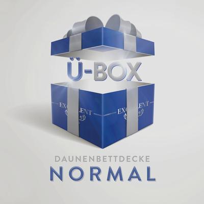 Daunenbettdecke EXCELLENT "Überraschungsbox", bunt, B:135cm L:200cm, Bezug: 100% Baumwolle. Füllung: 90% Daunen, 10% Federn, Bettdecken, absoluter Sonderpreis, wegen Lagerräumung, Solange der Vorrat reicht Image