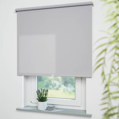 Springrollo LIEDECO "Uni" Gr. 15, grau (hellgrau), B:72cm H:180cm, Polyester, Metall, Rollos, lichtdurchlässig Image