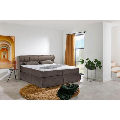 Boxspringbett PLACES OF STYLE "Felicia", braun, B:194cm L:215cm, Komplettbetten, Boxspringbett, in H4, inkl. Topper und Bettkasten Image