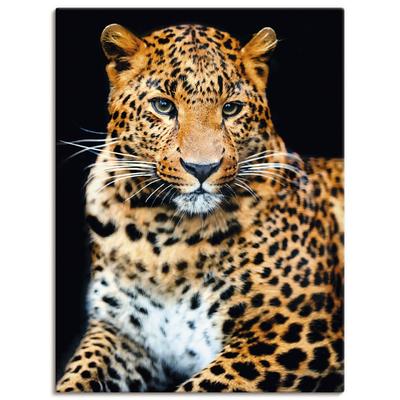 Wandbild ARTLAND "Wütender wilder Leopard", schwarz (farbe bild(er): schwarz), B:60cm H:80cm, Bilder, als Alubild, Outdoorbild, Leinwandbild, Poster, Wandaufkleber Image