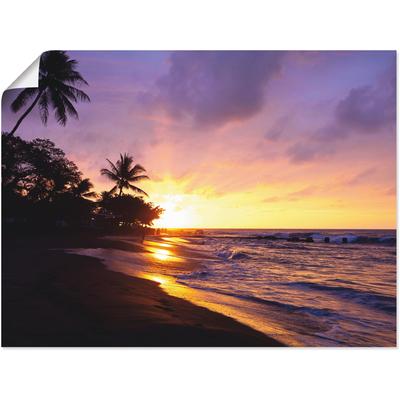 Wandbild ARTLAND "Tropischer Strand", lila (farbe bild(er): lila), B:60cm H:45cm, Bilder, als Alubild, Outdoorbild, Leinwandbild, Poster, Wandaufkleber Image